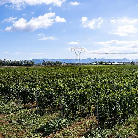 L'ovile Agroturismo
