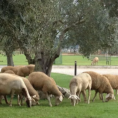 Alloggio per agriturismo L'ovile